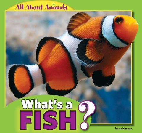 Cover image for book What’s a Fish?
