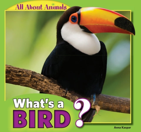 Cover image for book What's a Bird?