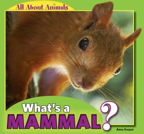 Cover image for book What’s a Mammal?