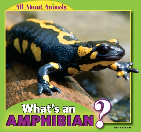 Cover image for book What’s an Amphibian?