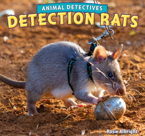 Cover image for book Detection Rats