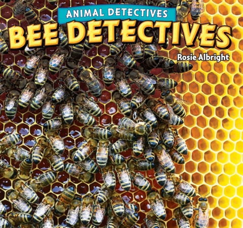 Cover image for book Bee Detectives