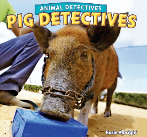 Cover image for book Pig Detectives