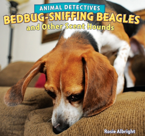 Cover image for book Bedbug-Sniffing Beagles and Other Scent Hounds
