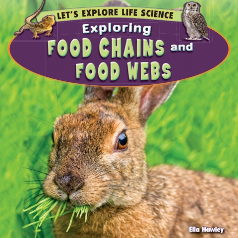 Cover image for book Exploring Food Chains and Food Webs