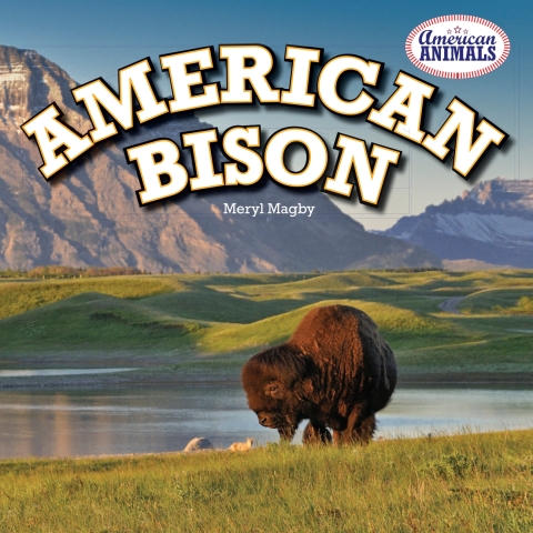 Cover image for book American Bison