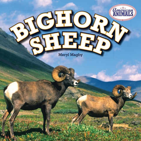 Cover image for book Bighorn Sheep