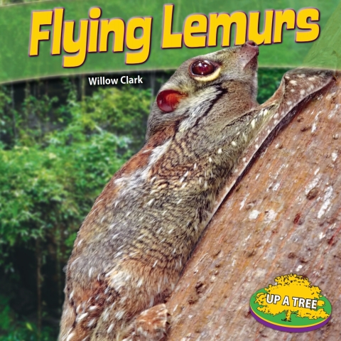 Cover image for book Flying Lemurs