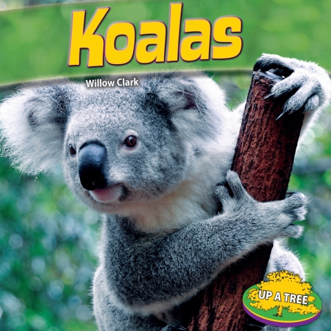 Cover image for book Koalas