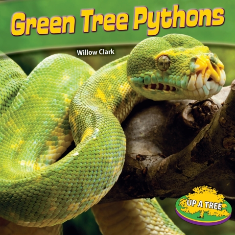 Cover image for book Green Tree Pythons