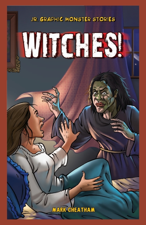 Cover image for book Witches!