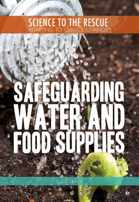 Cover image for book Safeguarding Water and Food Supplies