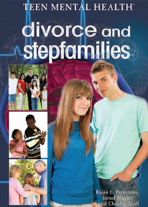 Cover image for book Divorce and Stepfamilies