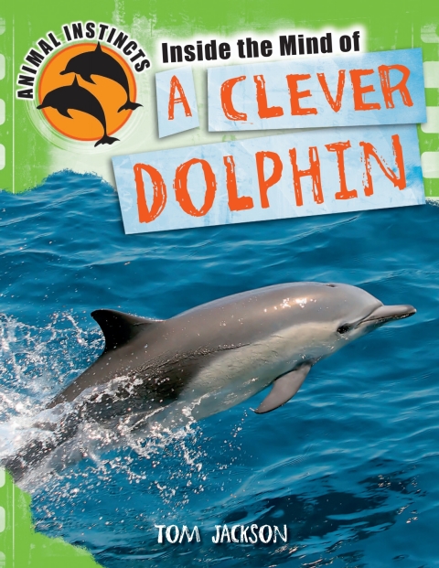 Cover image for book Inside the Mind of a Clever Dolphin