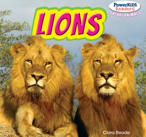 Cover image for book Lions