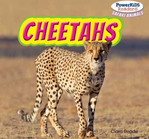 Cover image for book Cheetahs