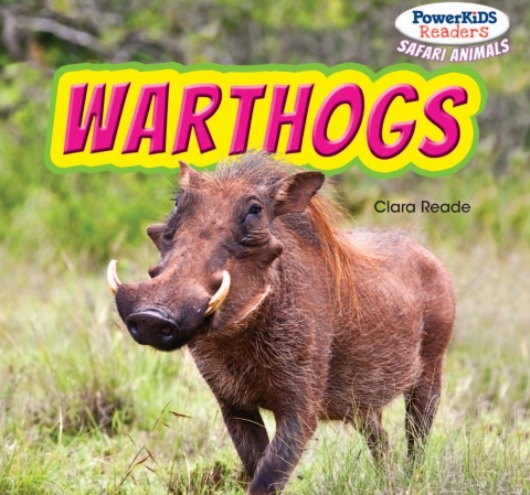 Cover image for book Warthogs