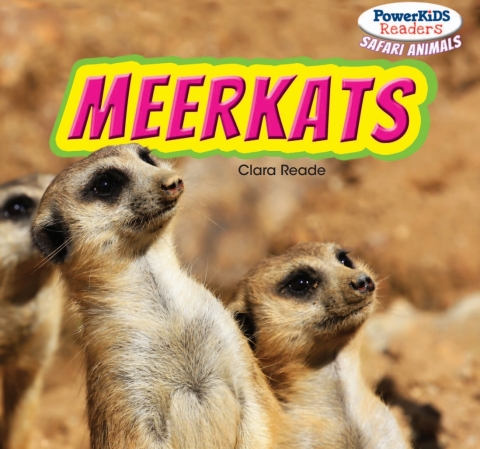 Cover image for book Meerkats