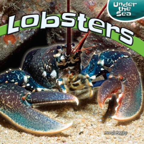 Cover image for book Lobsters