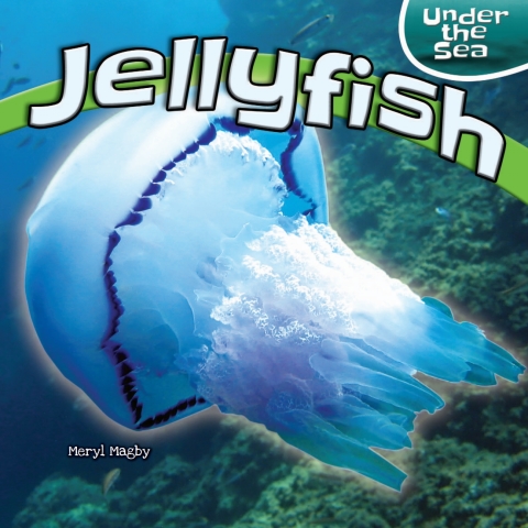 Cover image for book Jellyfish