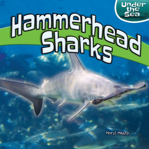 Cover image for book Hammerhead Sharks