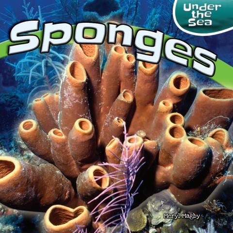 Cover image for book Sponges