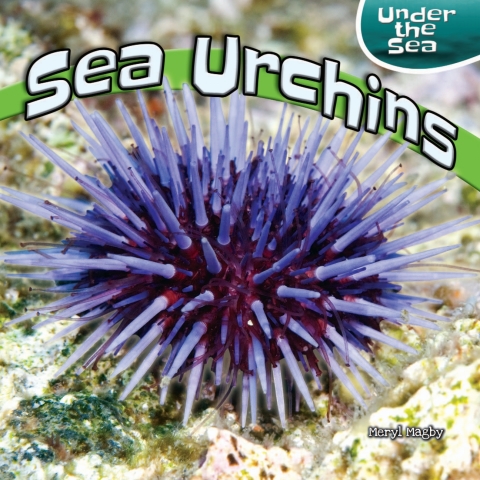 Cover image for book Sea Urchins