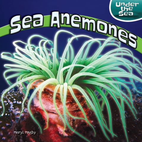 Cover image for book Sea Anemones