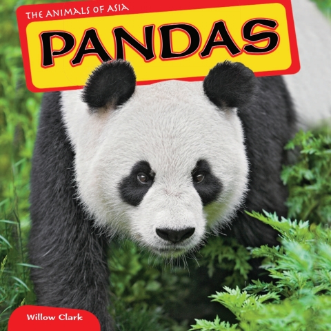 Cover image for book Pandas