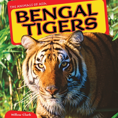 Cover image for book Bengal Tigers