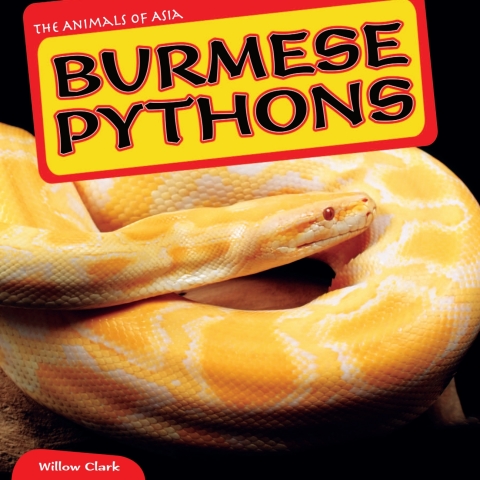Cover image for book Burmese Pythons