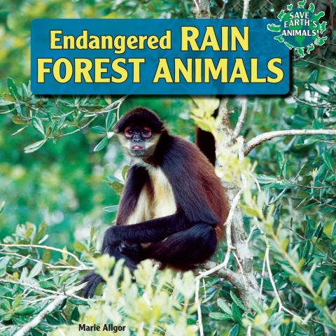 Cover image for book Endangered Rain Forest Animals