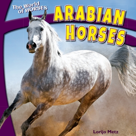 Cover image for book Arabian Horses