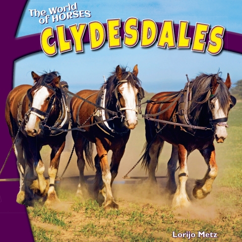 Cover image for book Clydesdales