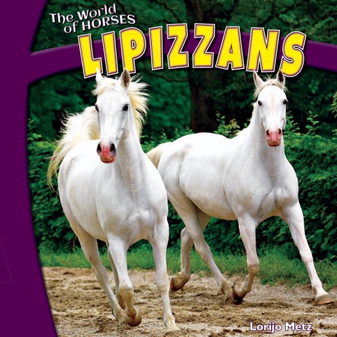 Cover image for book Lipizzans