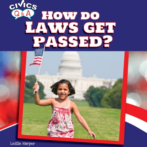 Cover image for book How Do Laws Get Passed?