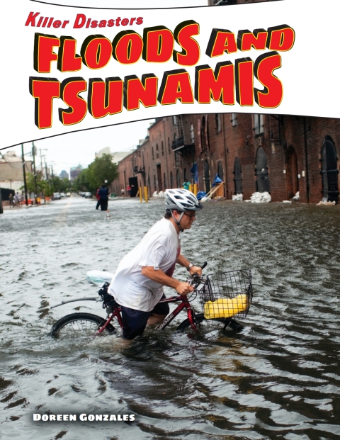 Cover image for book Floods and Tsunamis