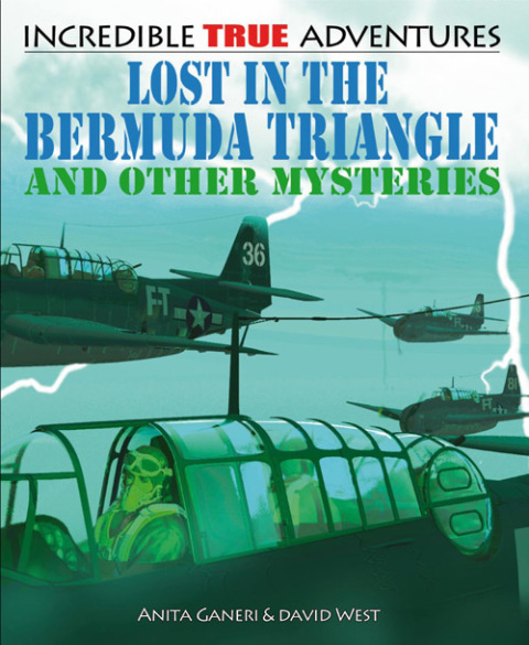 Cover image for book Lost in the Bermuda Triangle and Other Mysteries