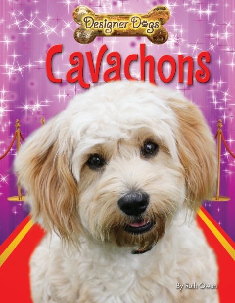 Cover image for book Cavachons