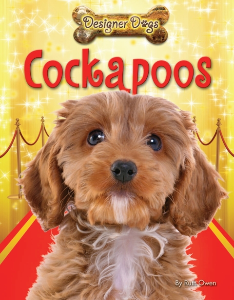 Cover image for book Cockapoos