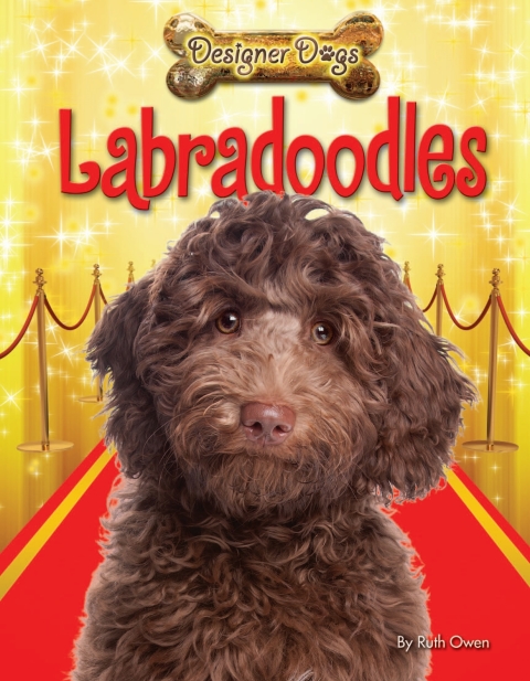 Cover image for book Labradoodles