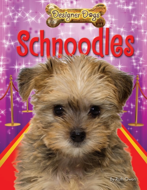 Cover image for book Schnoodles