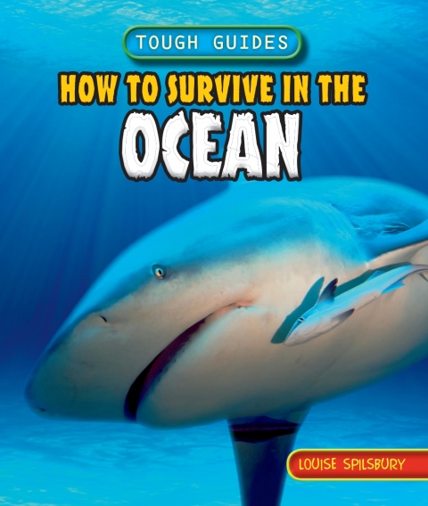 Cover image for book How to Survive in the Ocean