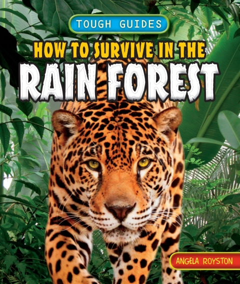 Cover image for book How to Survive in the Rain Forest