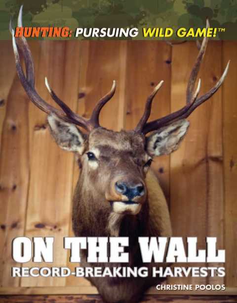 Cover image for book On the Wall
