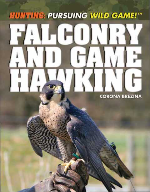 Cover image for book Falconry and Game Hawking