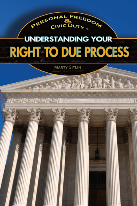 Cover image for book Understanding Your Right to Due Process
