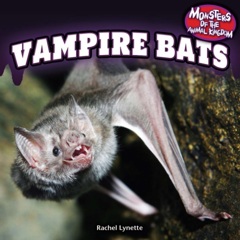 Cover image for book Vampire Bats