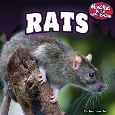 Cover image for book Rats