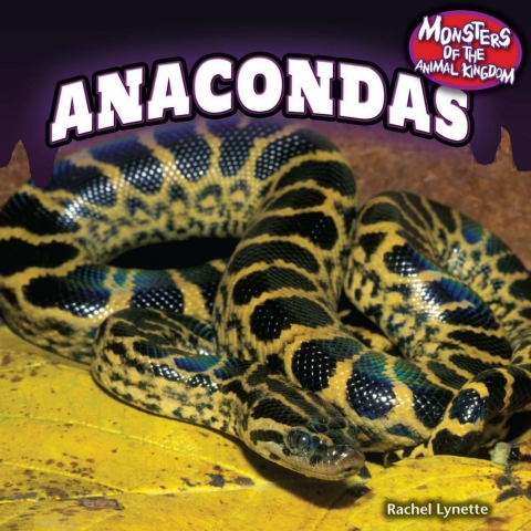 Cover image for book Anacondas